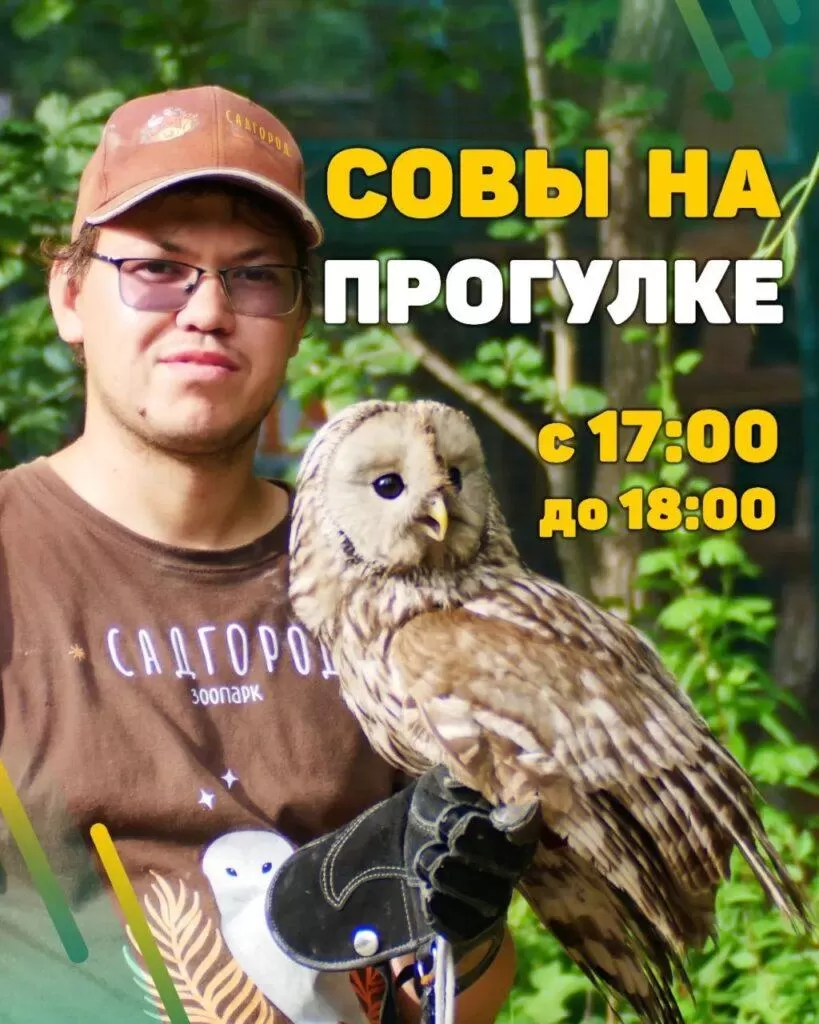 Спешите увидеться с совами на прогулке!