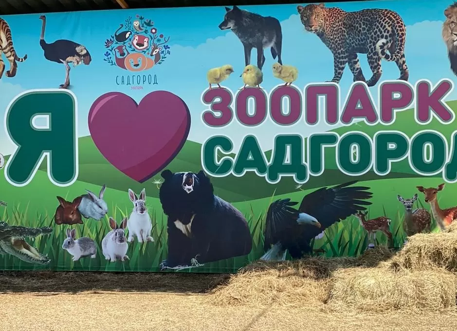 Пожертвования
