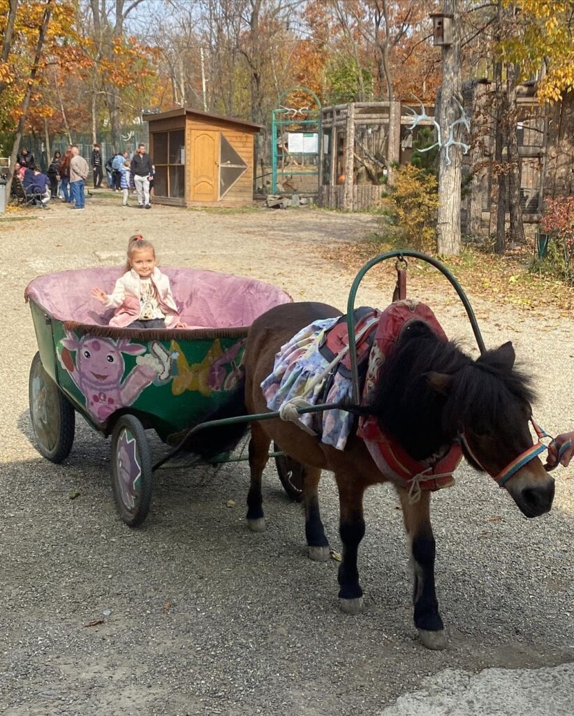Дополнительные услуги
