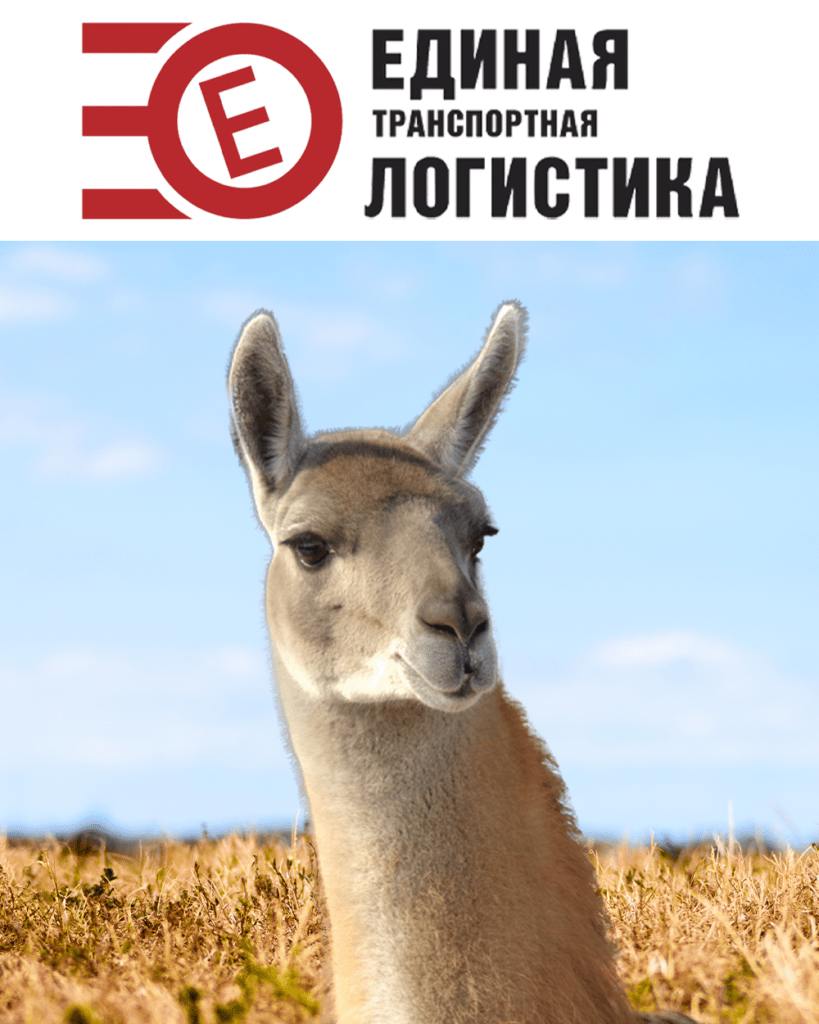 Транспортно-экспедиторская компания «Единая Транспортная Логистика» опекает Ламу Фёдора