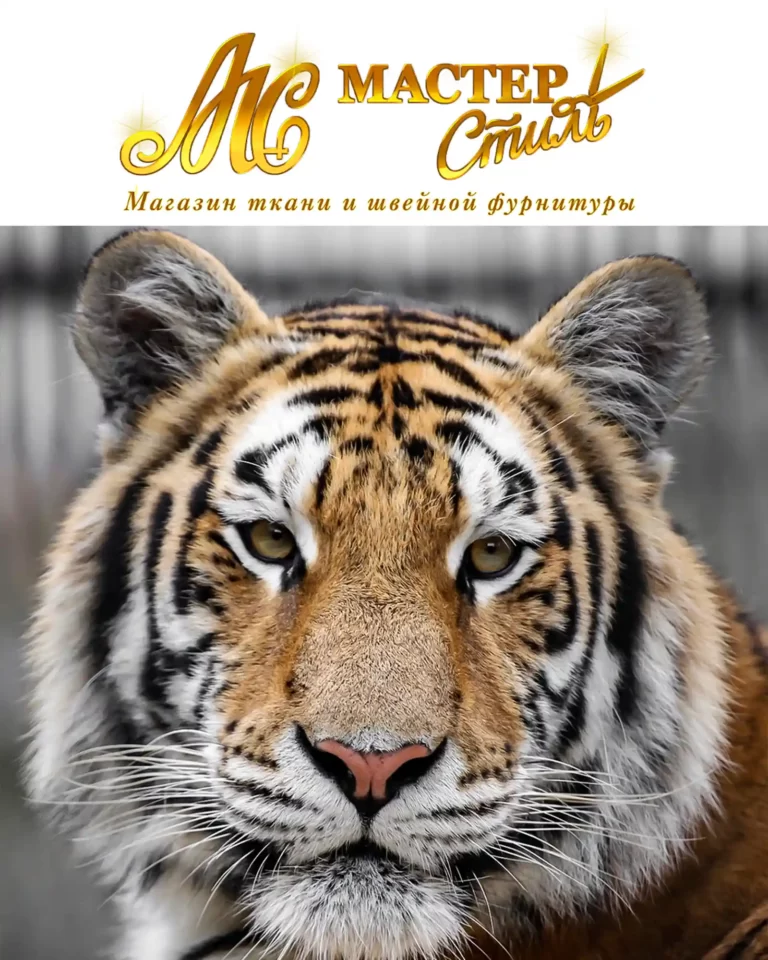 В опеке амурского тигра участвует Магазин ткани и швейной фурнитуры "Мастер Стиль"