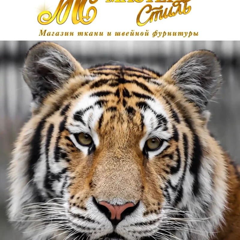 В опеке амурского тигра участвует Магазин ткани и швейной фурнитуры «Мастер Стиль»