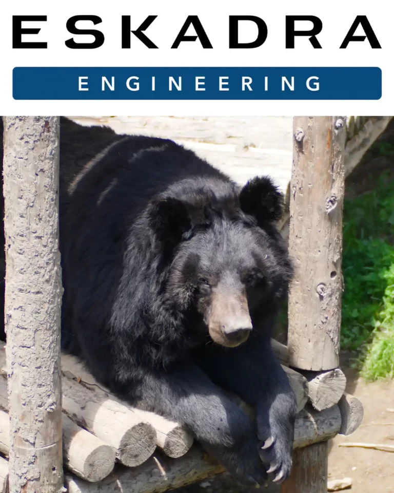 Официальный опекун гималайского медведя по кличке Егор Компания-застройщик "ESKADRA ENGINEERING"
