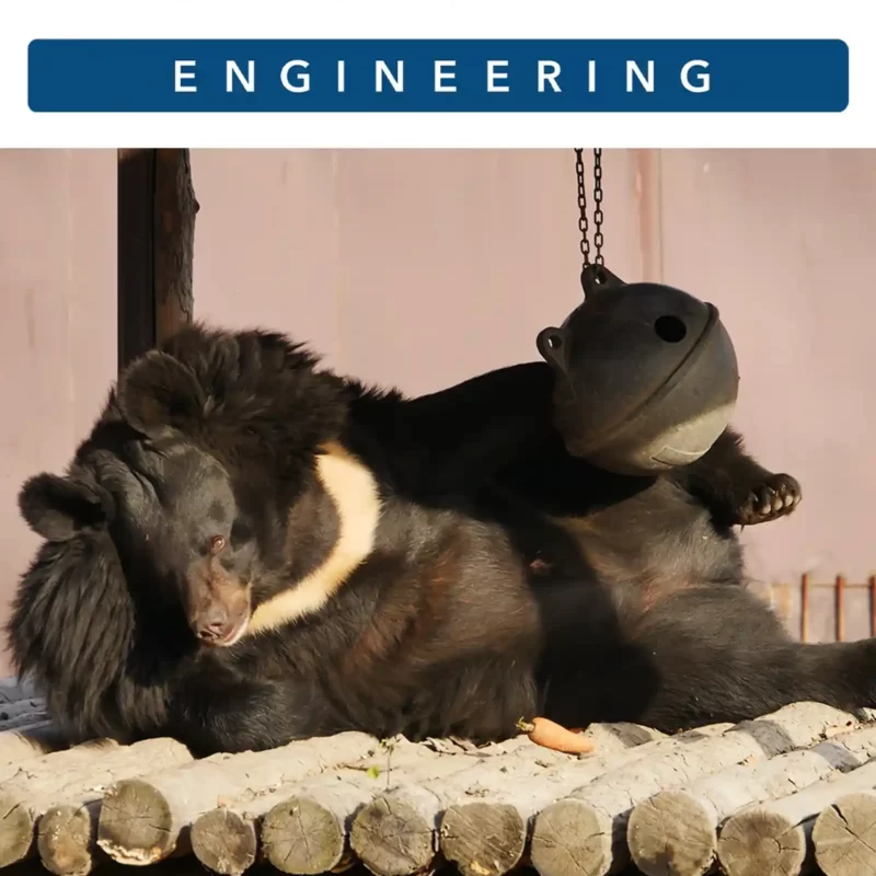 Официальный опекун гималайского медведя по кличке Маша Компания-застройщик «ESKADRA ENGINEERING»